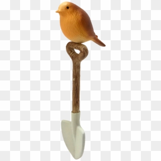 Bird - Canary, HD Png Download