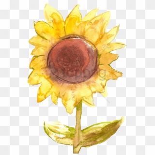 Free Png Sunflower Png Tumblr Png Image With Transparent - Portable Network Graphics, Png Download