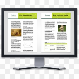 Whitepaper Display 2papers Stressanxiety - Online Advertising, HD Png Download