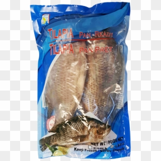 Tilapia - Home - Tilapia - Fish Products, HD Png Download