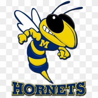 Hornet Logo - Peeples Middle School, HD Png Download
