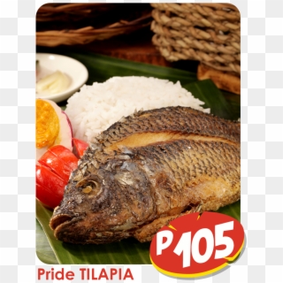 Tilapia - Binalot Tilapia, HD Png Download