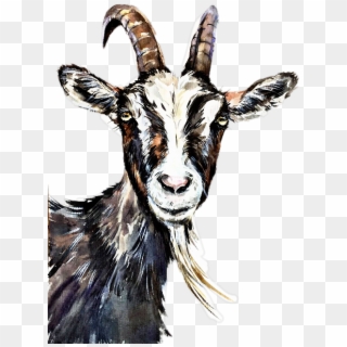 Goat Watercolor, HD Png Download