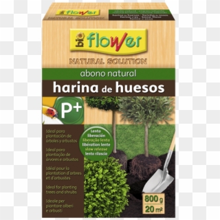 Abono Natural Harina De Huesos - Abonó Para Tomates De Huerta, HD Png Download