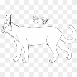 Bases And Lineart - Caracal Lineart, HD Png Download