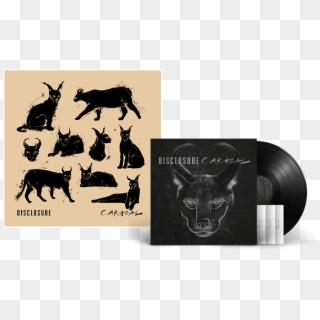 Caracal Album Poster - Bull, HD Png Download