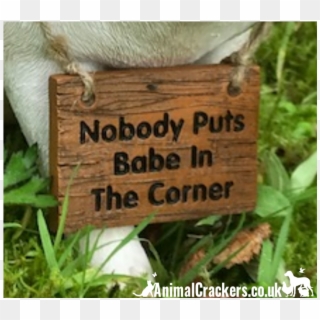 Baby Pig Ornament With 'nobody Puts Babe In The Corner' - Signage, HD Png Download