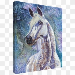 Categories - Stallion, HD Png Download