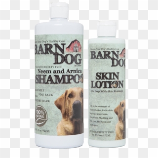 Barn Dog Neem Shampoo & Skin Lotion Itching And Hot - Companion Dog, HD Png Download
