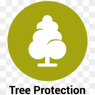Links To Webpage About Tree Protection In Newmarket - Circle, HD Png Download
