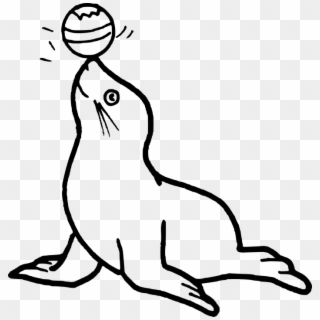 Colouring Pages Of Seal, HD Png Download