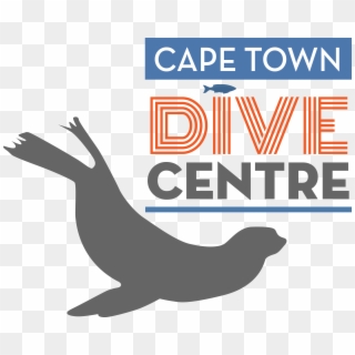 Cape Town Dive Centre - California Sea Lion, HD Png Download
