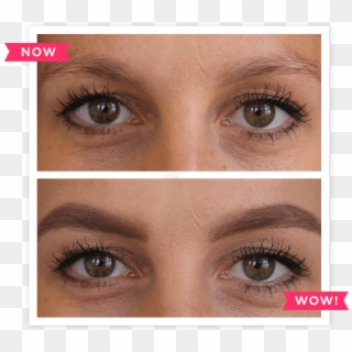 Here's A Complete Guide To Getting Thicker And Fuller - Sparse Brows, HD Png Download