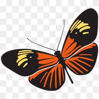 Rama-rama Is The Malaysian Word For Butterfly - Rama Rama Clipart Png, Transparent Png
