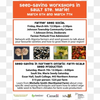 Northern Ontario Seedy Poster-1 2015seedysatposter - Natural Foods, HD Png Download