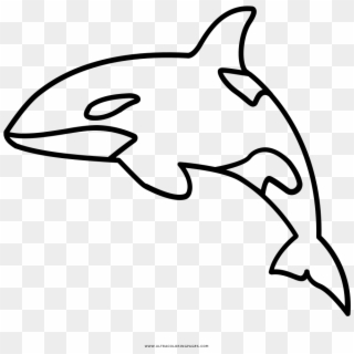 Full Size Of Coloring Book And Pages - Orca Clipart Outline, HD Png Download