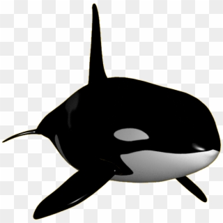 #orca #whale - Killer Whale, HD Png Download