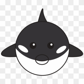 Killer Whale - Cartoon, HD Png Download