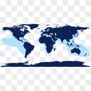 False Killer Whale Range - World Map With Antarctica, HD Png Download