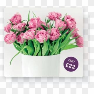Flowers New Forest - Tulip, HD Png Download