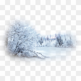 Winter Forest Png - Snow, Transparent Png