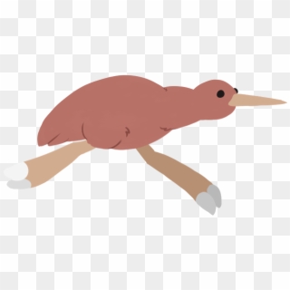 For The Kiwi Bird, We Wanted It To Have A Bounce And - Illustration, HD Png Download