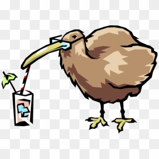 Vector Illustration Of Kiwi Bird Drinking Through Straw - Vector Graphics, HD Png Download