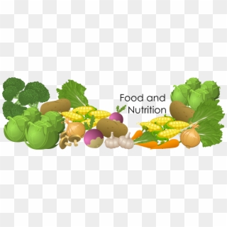 Food And Nutrition Png, Transparent Png