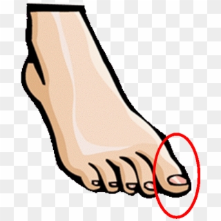 Transparent Png