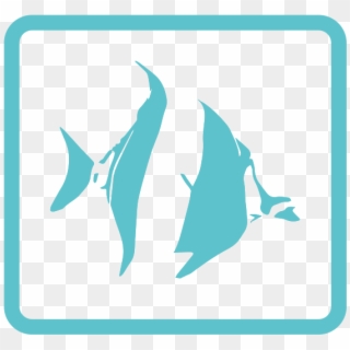 Angelfish Copy - Marlin, HD Png Download
