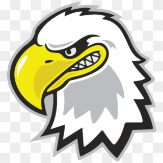 Primary Logo - Eagle Cartoon Logo Png, Transparent Png