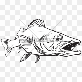 Free Png Wall Eye Fish Drawing Png Image With Transparent - Wall Eye Fish Drawing, Png Download