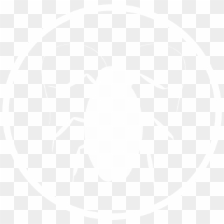 White Bug Icon Png, Transparent Png