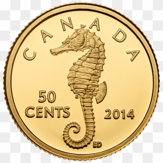 Canada 2014 Sea Creatures - Northern Seahorse, HD Png Download