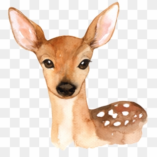 Hand Painted A Cute Deer Png Transparent - Free Watercolor Woodland Animal Printables, Png Download