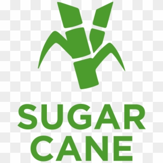 Sugarcane , Perennial Grass Of The Family Poaceae, - Sugar Cane Icon Png, Transparent Png