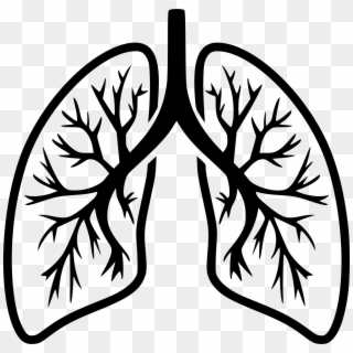 Png File Svg - Lungs Clip Art Black And White, Transparent Png