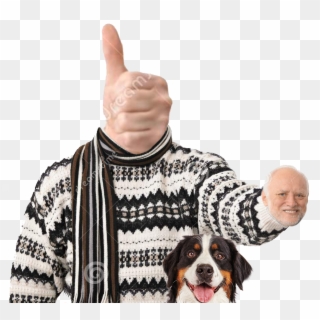 View Noice , - Hide The Pain Harold Sweater, HD Png Download