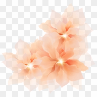 #ftestickers #flowers #hibiscus #border #corner #transparent - Hibiscus Desktop, HD Png Download