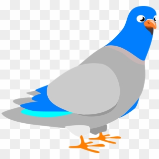 Dove Bird Animal Pigeon Peace Feather Wing Beak - Pigeon Clip Art, HD Png Download