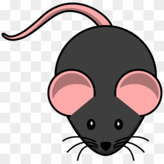 Brown Mouse Clip Art, HD Png Download