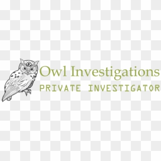 Owl Investigations - Fundations, HD Png Download