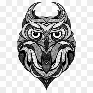 Owl Illustrator Drawing Illustration Tattoo Download - Andreas Preis Png, Transparent Png