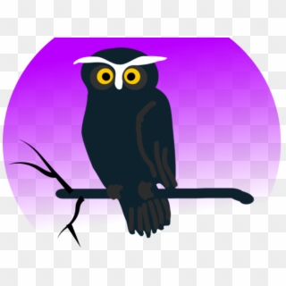 Barn Owl Clipart Branch Clipart Free - Owl Fart, HD Png Download