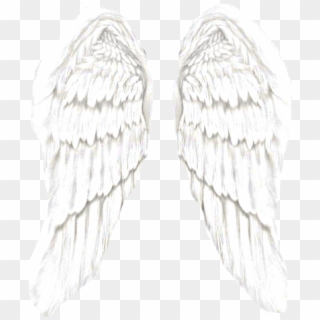 Transparent Angel Wingsangel Wings Png Tumblr - Angel Wings, Png Download