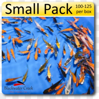Small Pack Of Peanuts Free Shipping 100-125 Fish Small - Poster, HD Png Download