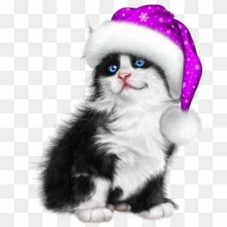 Purple Christmas, Christmas Cats, Kitten Cartoon, Kitten - Kitten, HD Png Download