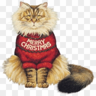Christmas Sticker - St Patrick's Day Cat, HD Png Download