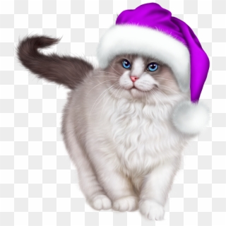 Purple Christmas, Christmas Cats, Merry Christmas, - Kitten, HD Png Download