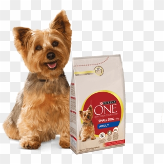 Yorkshire Terrier And Purina One Small Dog Products - Purina One Mini Dog, HD Png Download